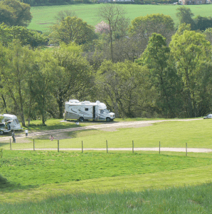 Birch Farm Camping